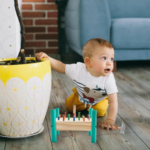 Wooden Hammering Pounding Toy.