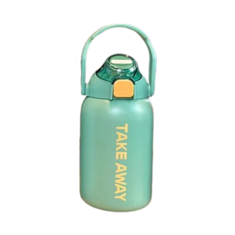 Take Away Metal Water Bottle With Sipper (1107)