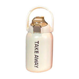 Take Away Metal Water Bottle With Sipper (1107)