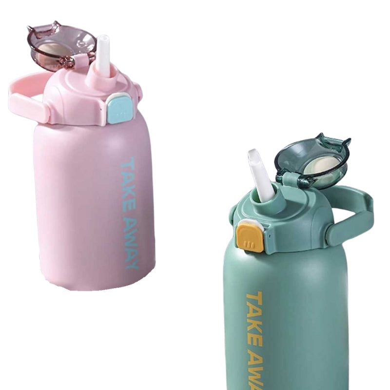 Take Away Metal Water Bottle With Sipper (1107)