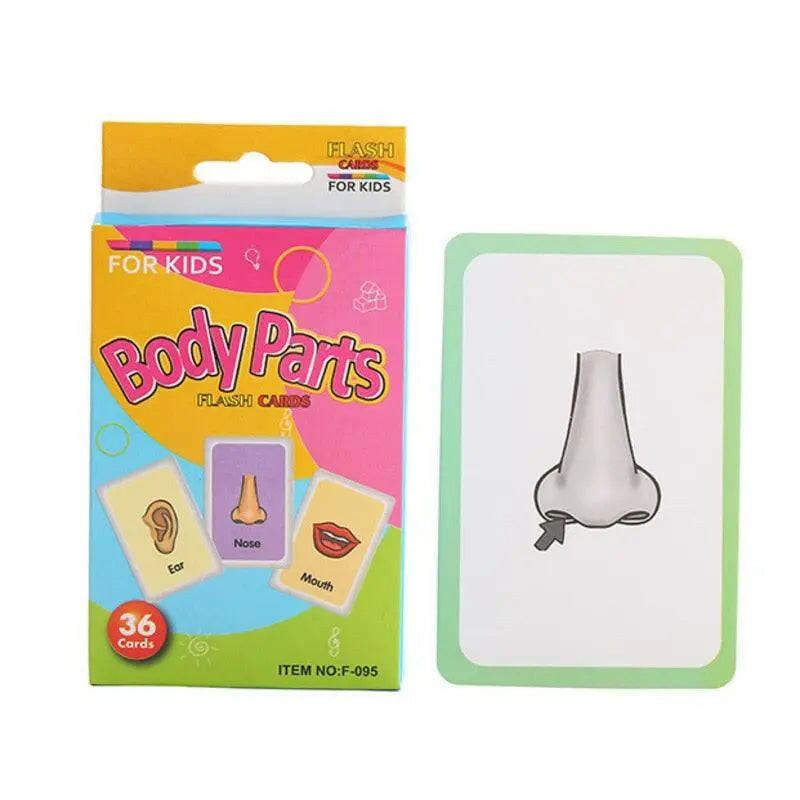 Kids Montessori Learning English Words Card Pocket Flash Cards - KIDZMART